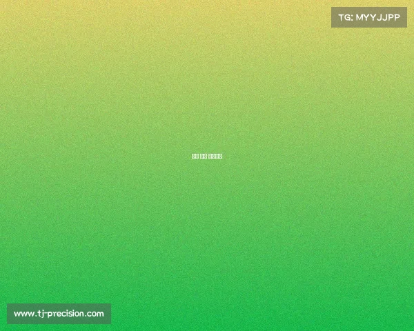 王蔷 赛事 王蔷决赛