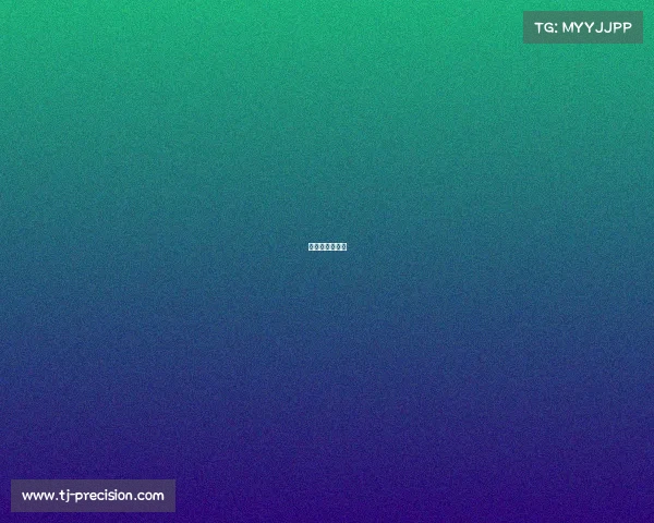 樊振东赛事表现